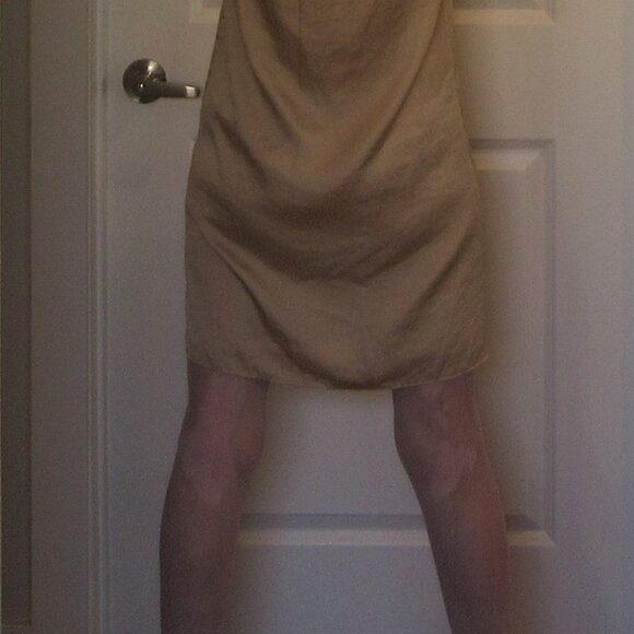 Ann Taylor LOFT Petites "Raw Silk" Oyster colored sleeveless shift, size 4P - Picture 10 of 14